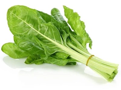 溫度高，蔬菜不一·定就長得快!大棚種植的7大誤區(qū)，切勿再犯