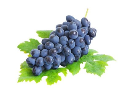 葡萄灰霉病該怎么防治呢？