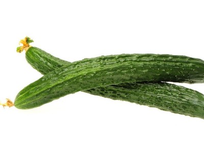 煩人的黃瓜“鑲金邊”又來了!究竟咋回事?