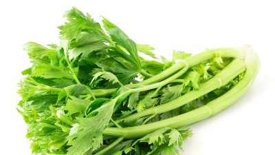 磷酸二氫鉀，能和殺菌劑混用嗎?別再犯錯啦!