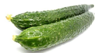 防治真有那么難?黃瓜龍頭“黃、爛”表現(xiàn)異常區(qū)別對待!