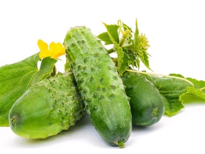 面對黃瓜莖稈開裂的情況該如何應對？