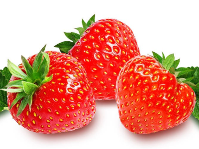 草莓根系很重要，但是如何養(yǎng)根護(hù)根你知道嗎？