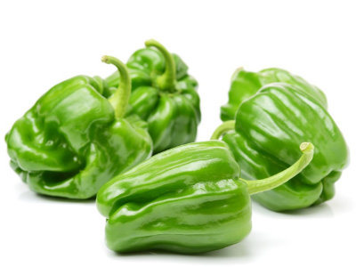 辣椒爛秧怎么防治? 辣椒爛秧是什么原因造成的？