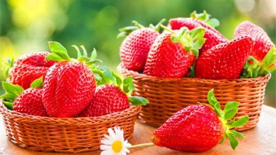 夏季草莓應(yīng)該如何澆水？