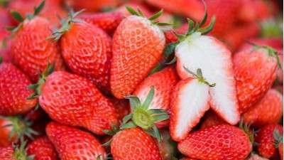 尿素別只當(dāng)肥料用，這5個經(jīng)典搭檔，用對了效果翻倍