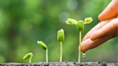 為什么肥料里有“腐植酸”效果就好？萊昂水溶肥給你答案
