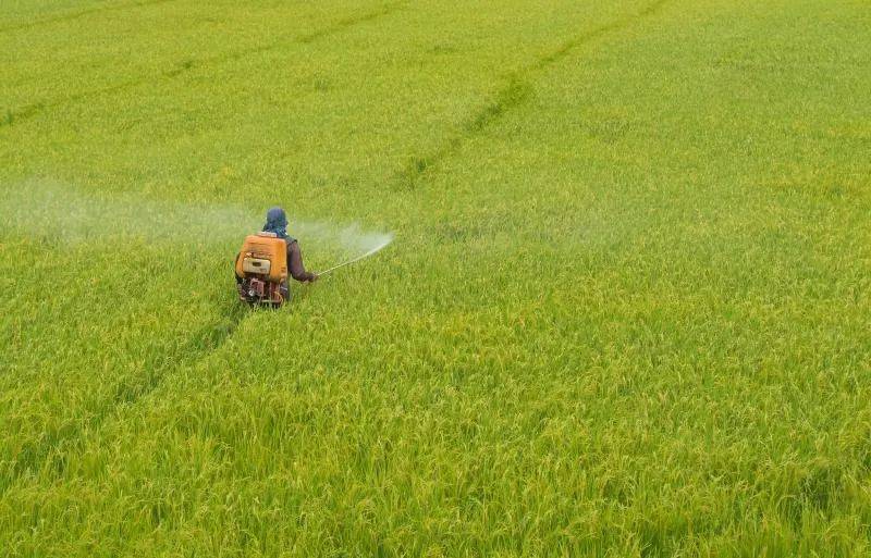 b97c0b19306e4d798d57dbe3d4f54dd4 b97c0b19306e4d798d57dbe3d4f54dd4