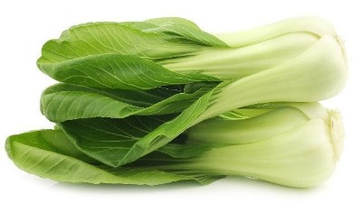 蔬菜換茬季，時(shí)間短、溫度低成為冬季換茬面臨的首要問(wèn)題