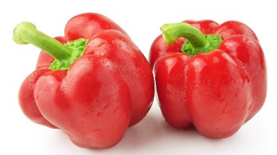 高溫多雨，辣椒炭疽病來勢洶洶，如何防治?