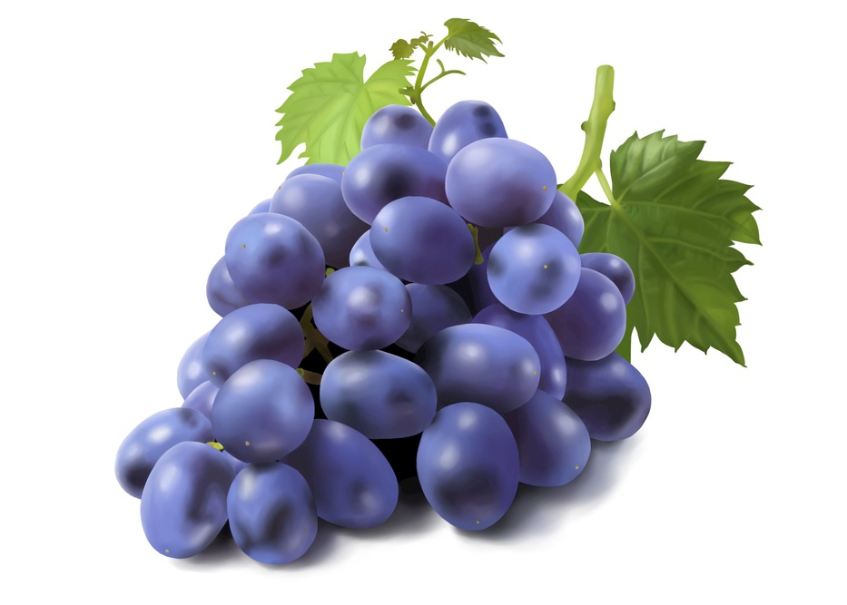 葡萄果粉的作用有哪些，如何幫助葡萄上粉