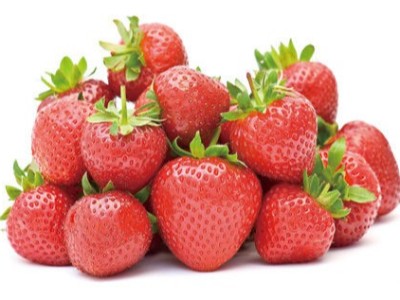 警惕!草莓預(yù)防蚜蟲要抓緊。