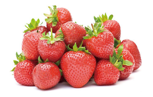 U9668P1455DT20130528161129 U9668P1455DT20130528161129