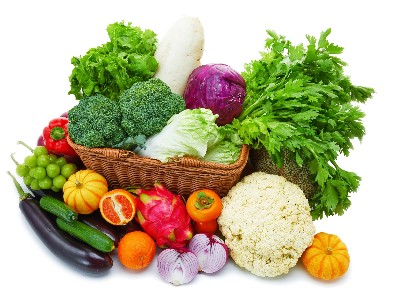 打造強大根系，從蔬菜定植開始