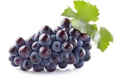 t01f3e78a233ef3113a t01f3e78a233ef3113a