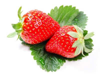 怎樣抓好草莓花芽分化?記住這5點(diǎn)很重要