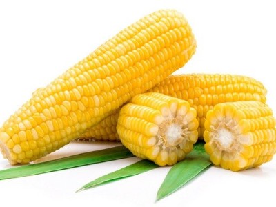 玉米追肥的最佳時(shí)間是什么時(shí)候？