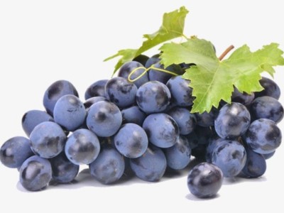 葡萄掛果少怎么辦?怎么提高葡萄掛果率?