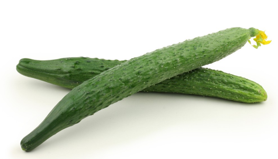 地里種植的黃瓜出現(xiàn)了很多大頭瓜，什么原因造成的?
