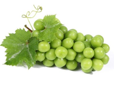 葡萄夏剪的誤區(qū)及具體操作事項