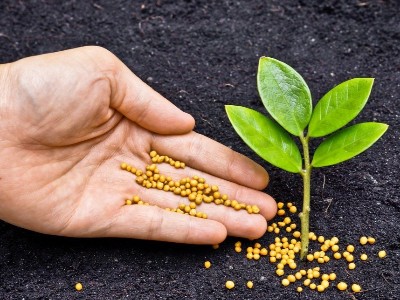 肥料放久了會失效嗎?看完這個全明白了!