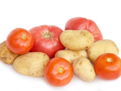 肥料施到地里多久才能見效?