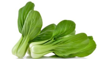 大棚蔬菜怎么進行防凍措施?這些“抗凍”方案特別好使!