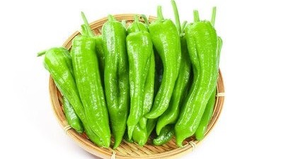 辣椒冬季澆水注意事項
