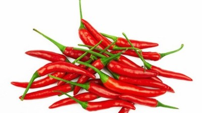 番茄、黃瓜、辣椒等蔬菜病毒病，抓住技巧，防治不難