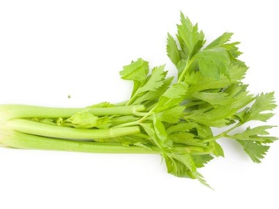 芹菜爛根病的原因是什么以及防治方法