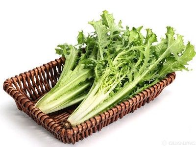 低溫天氣大棚蔬菜想要安全越冬，應該如何應對?