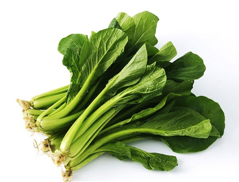 灌根操作講究多，正確灌根嗎的方法你知道嗎?