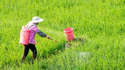 讓你二次稀釋你嫌棄費(fèi)事，你知道二次稀釋多重要嗎?