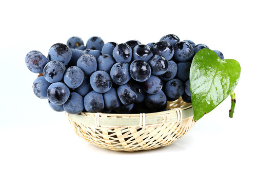 1015679_20190415153426574020_0 1015679_20190415153426574020_0