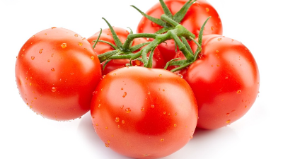 番茄結(jié)果期晚疫病易高發(fā)?識(shí)別病癥早治療 ，以下9點(diǎn)預(yù)防不可少