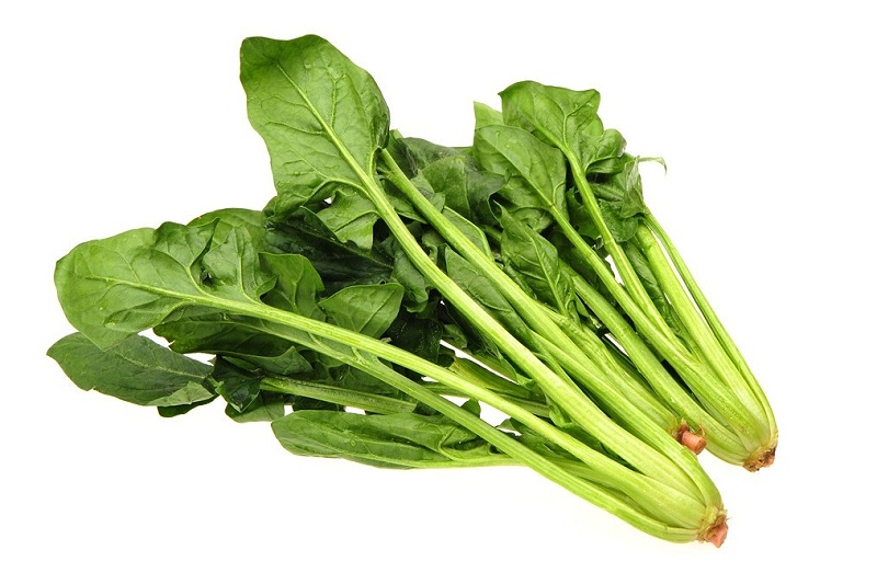 315301039699132447 315301039699132447