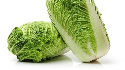 白菜在秋季的管理技巧，這一些要知道!