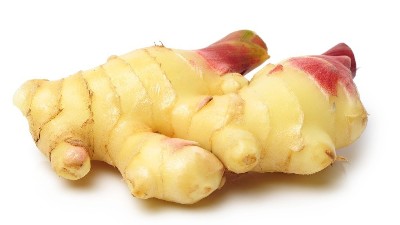 生姜什么時候施肥，抓住3個時期施肥，有效提升生姜產(chǎn)量及品質(zhì)