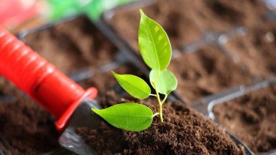 土壤分為五種，土壤的不同施肥方式也大不同