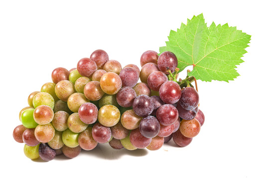 2942051_20220713135542853050_0 2942051_20220713135542853050_0