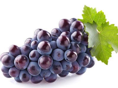 微量元素對葡萄的重要性有哪些？萊昂水溶肥告訴你