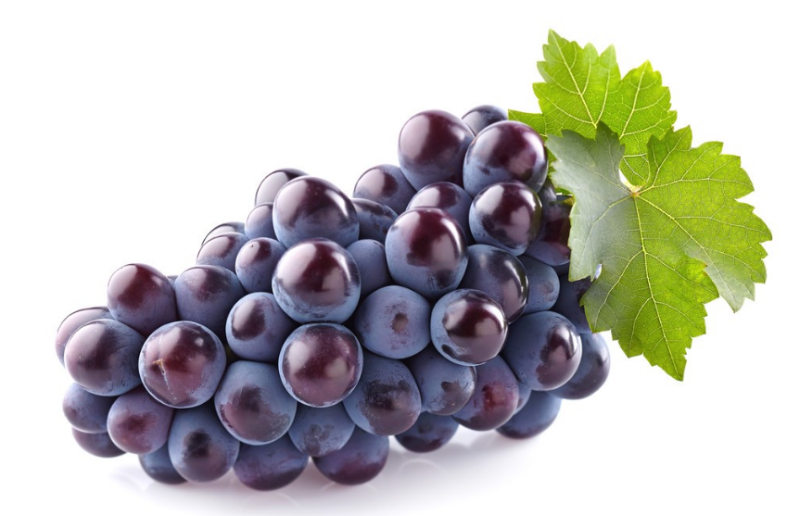 微信截圖_20221103151720 微信截圖_20221103151720