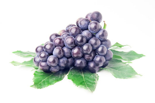 1841574_20190719114926724060_0 1841574_20190719114926724060_0