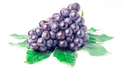 葡萄施肥不簡(jiǎn)單，這些誤區(qū)要注意！