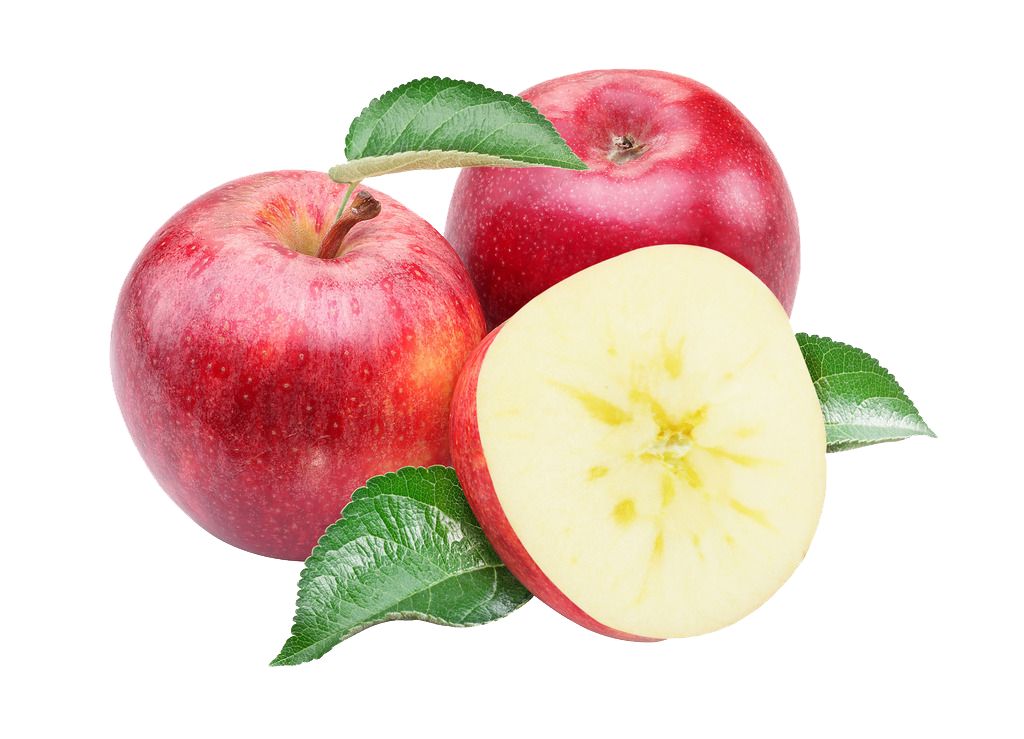 6428d905e42eb617b7d0345bb698780f 6428d905e42eb617b7d0345bb698780f