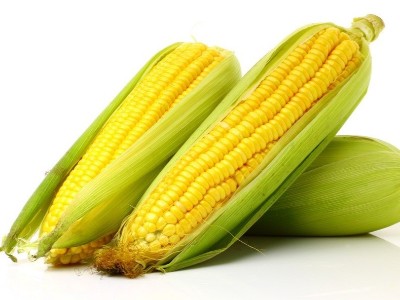 玉米施肥最佳時(shí)間是什么時(shí)候？看看萊昂水溶肥怎么說