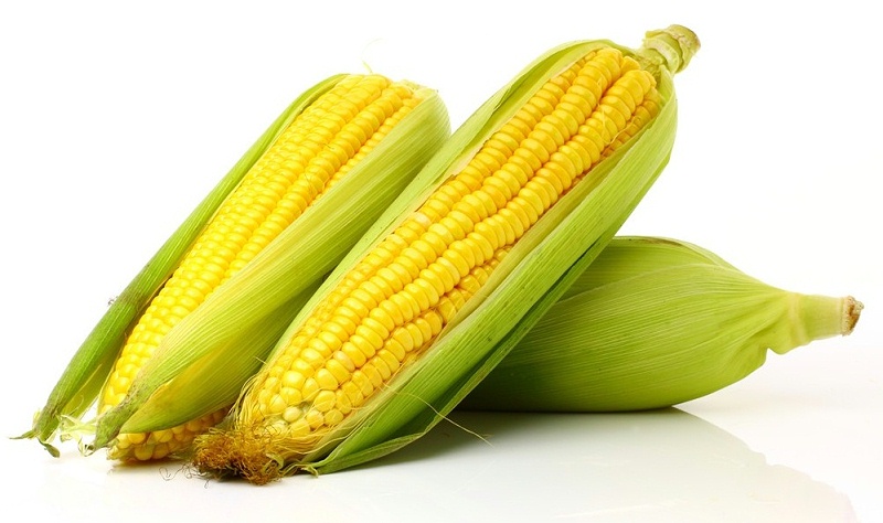 261982576952213787 261982576952213787