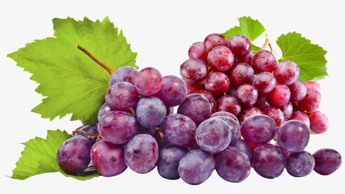 water_62536_698_392.93_ water_62536_698_392.93_