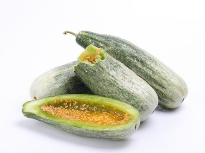 羊角蜜高產(chǎn)栽培技術(shù)