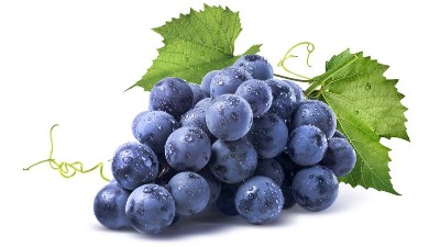 葡萄花前管理：一促、二控、三預防